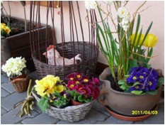 Floristika